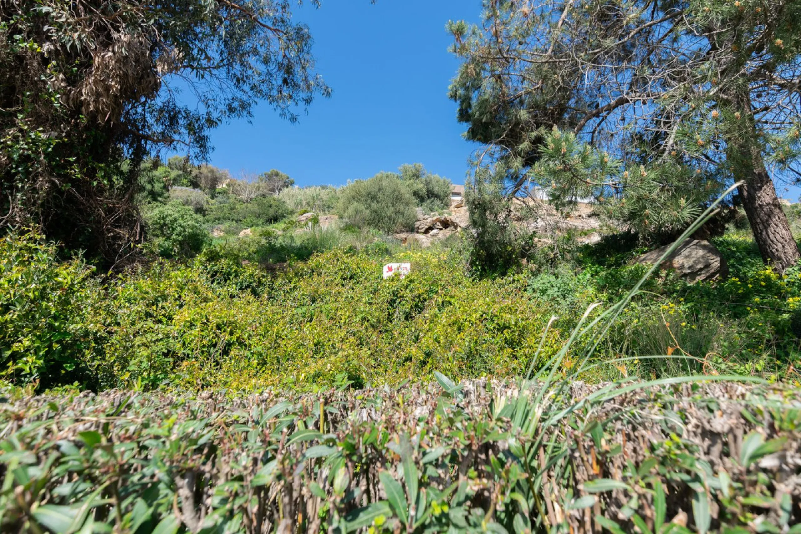 La Paloma Coastal Entry Collection | 3 Sea-View Villa Plots with Expansion Potential