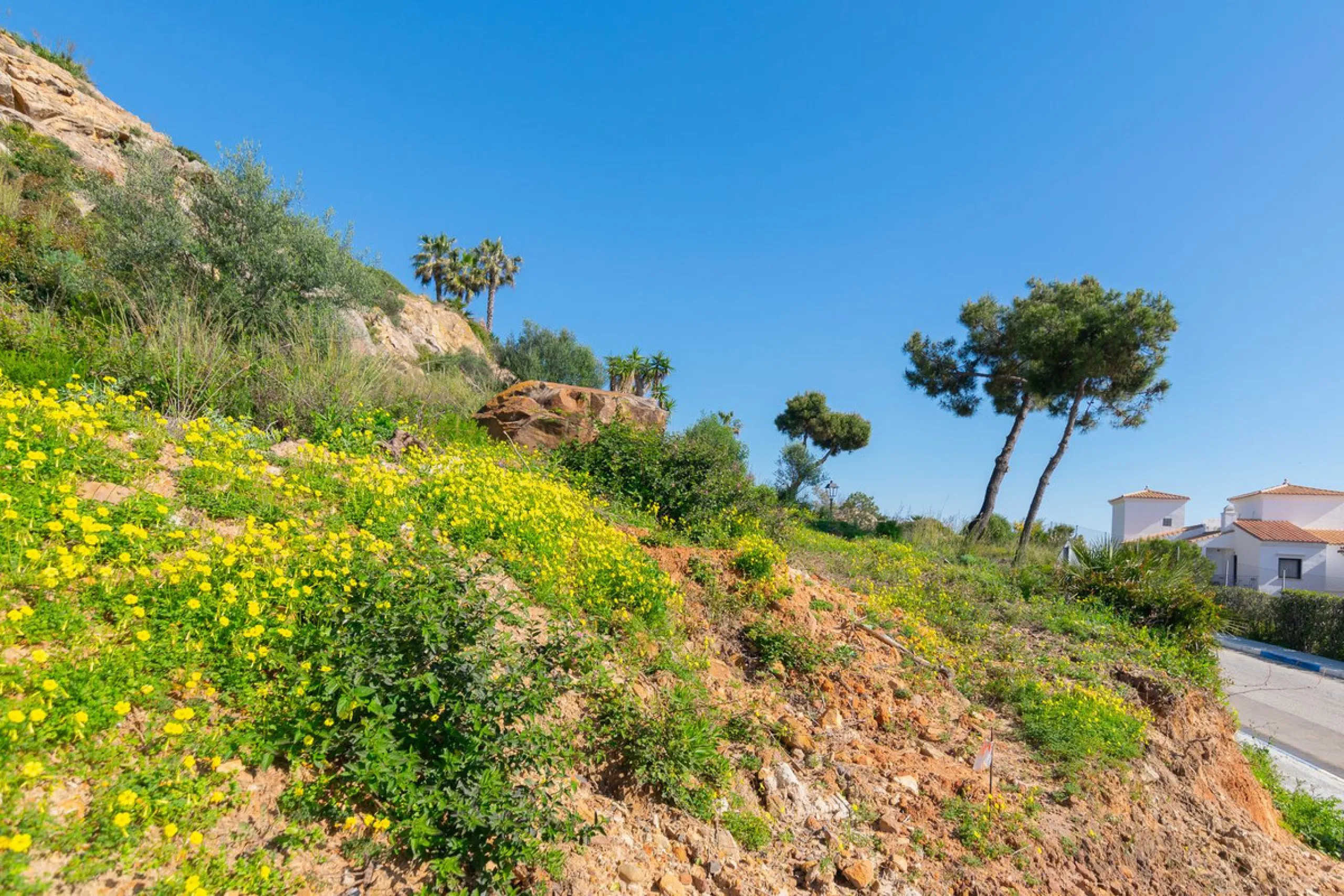 La Paloma Coastal Entry Collection | 3 Sea-View Villa Plots with Expansion Potential