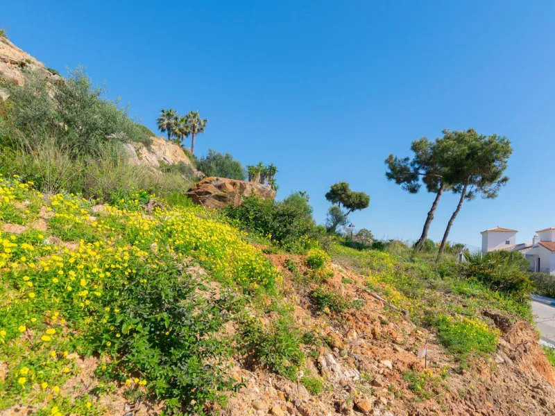 La Paloma Coastal Entry Collection | 3 Sea-View Villa Plots with Expansion Potential