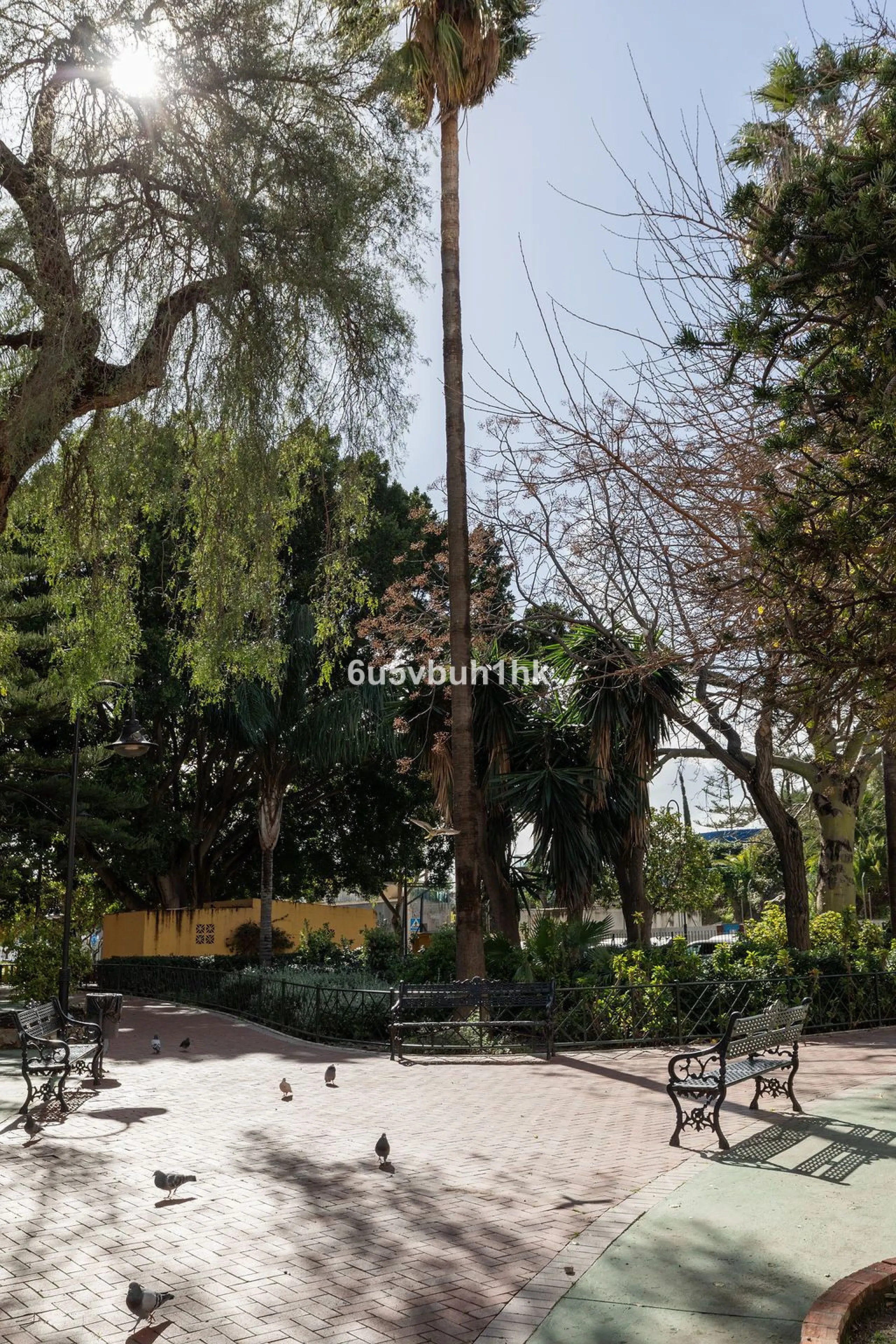 -Spacious three-bedroom apartment with large covered terrace overlooking a park