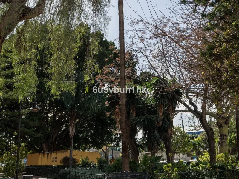 -Spacious three-bedroom apartment with large covered terrace overlooking a park
