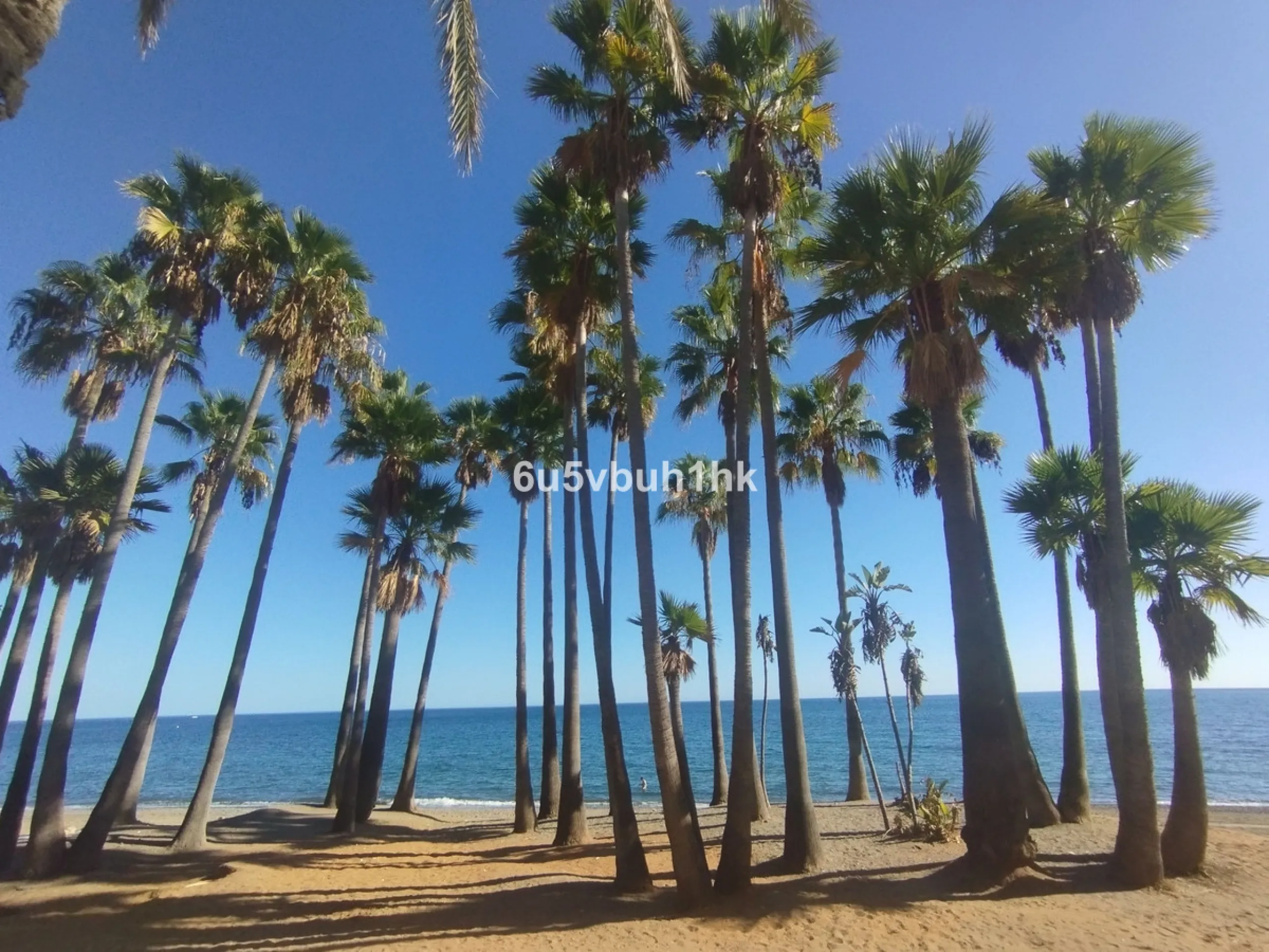 This beautiful penthouse is located in one of the most desirable and up-and-coming areas of San Pedro Alcántara, just 700 metres from the beach and the Promenade that connects Puerto Banús and Marbella. A privileged location where everything is within wal