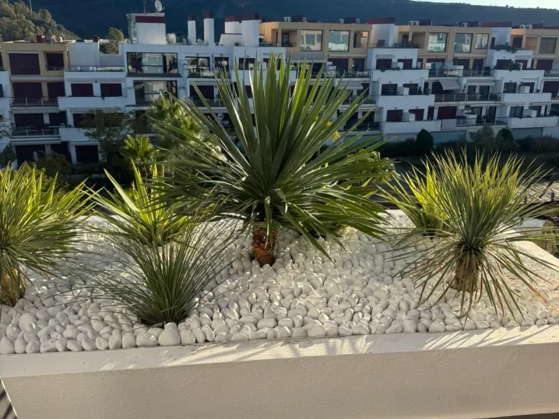 Beautiful duplex penthouse in the Parque Botanico urbanisation, completely renovated. The penthouse features three bedrooms, two bathrooms, a living room, a kitchen, two terraces, an underground parking space, a storage room, and sea and mountain views.