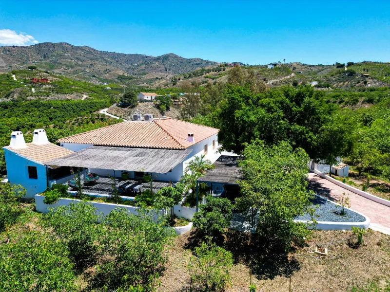 Profitable Mango & Avocado Finca in Vélez-Málaga – High-Yield Investment