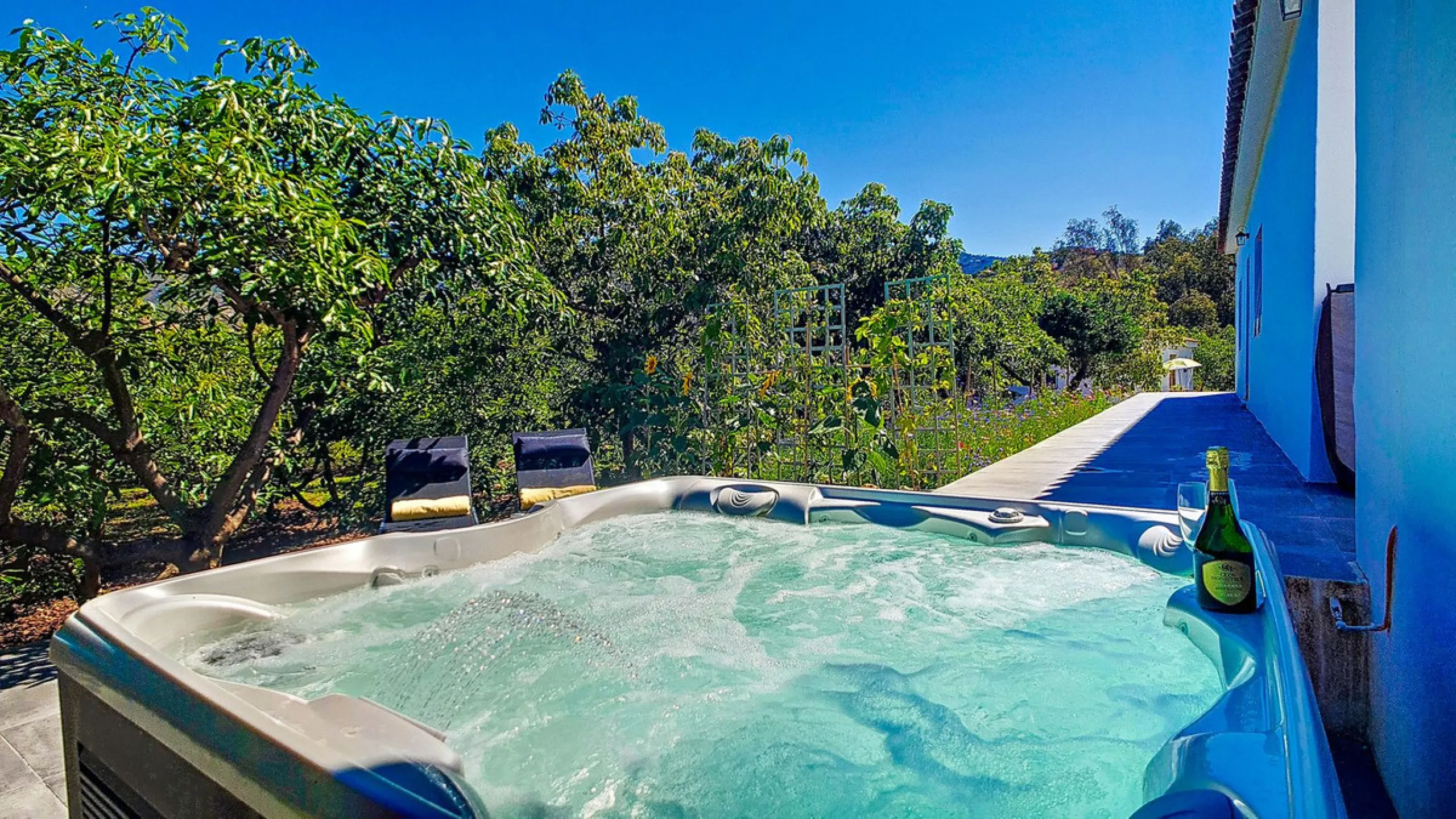 Profitable Mango & Avocado Finca in Vélez-Málaga – High-Yield Investment