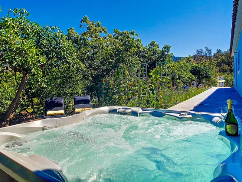 Profitable Mango & Avocado Finca in Vélez-Málaga – High-Yield Investment