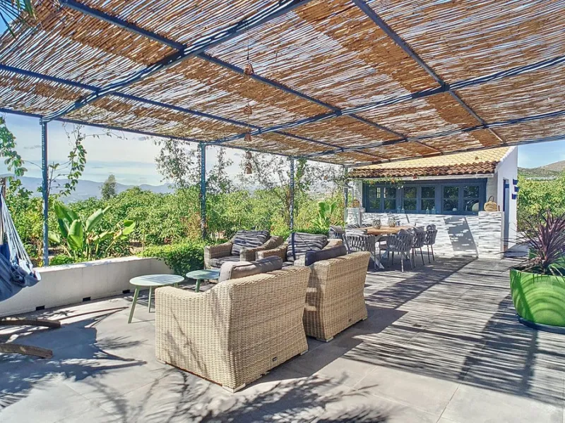Profitable Mango & Avocado Finca in Vélez-Málaga – High-Yield Investment