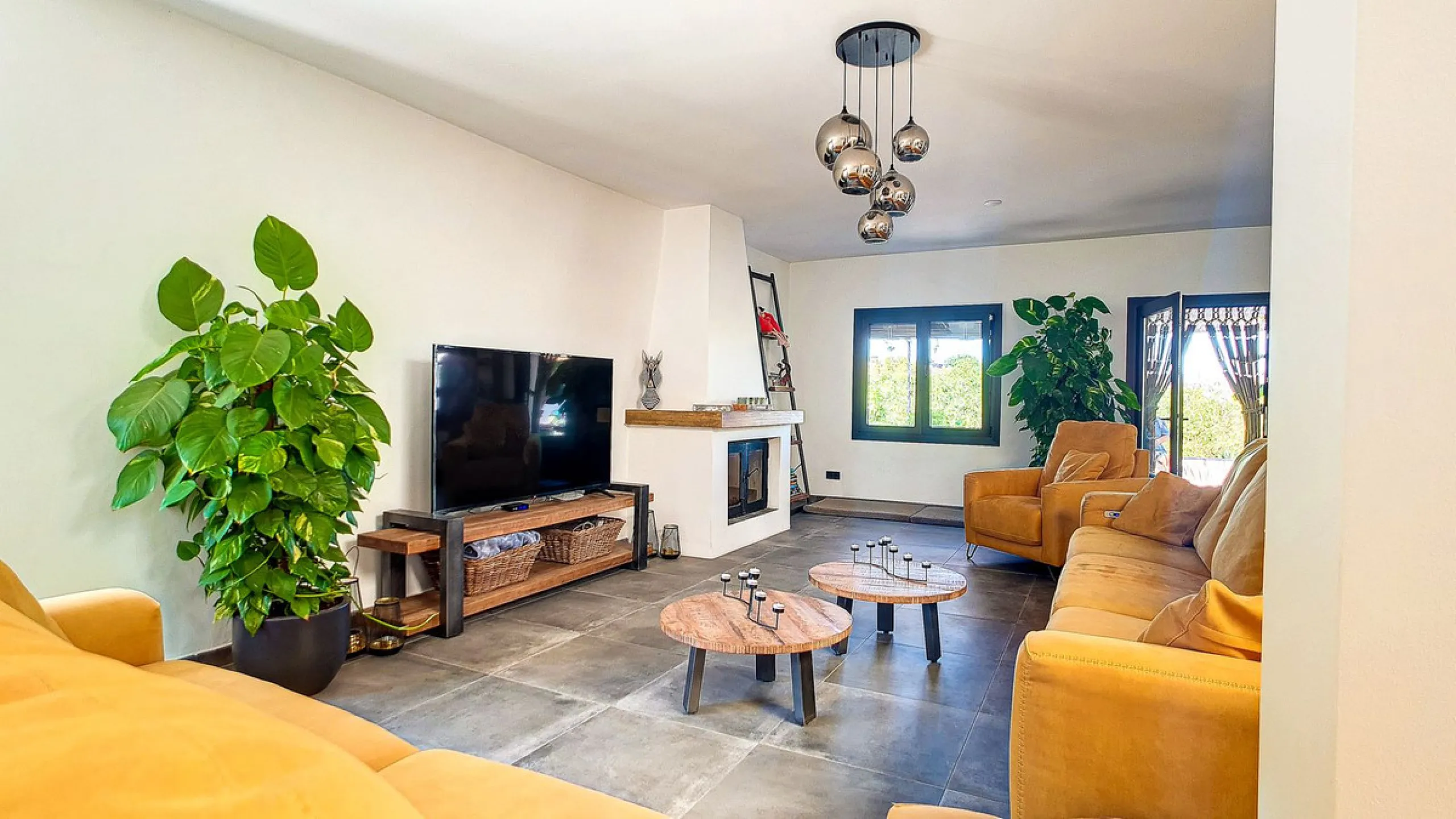 Profitable Mango & Avocado Finca in Vélez-Málaga – High-Yield Investment