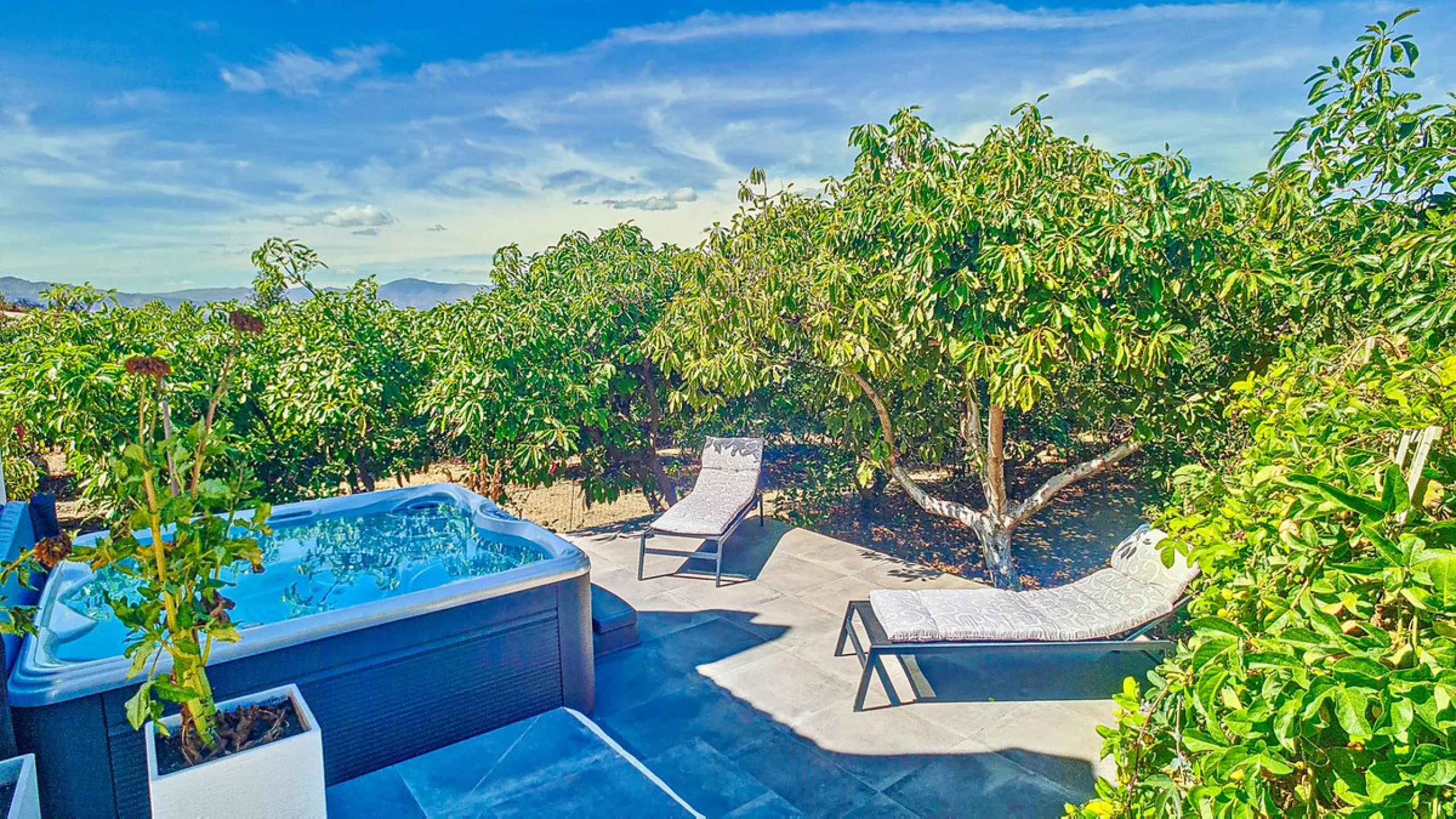 Profitable Mango & Avocado Finca in Vélez-Málaga – High-Yield Investment