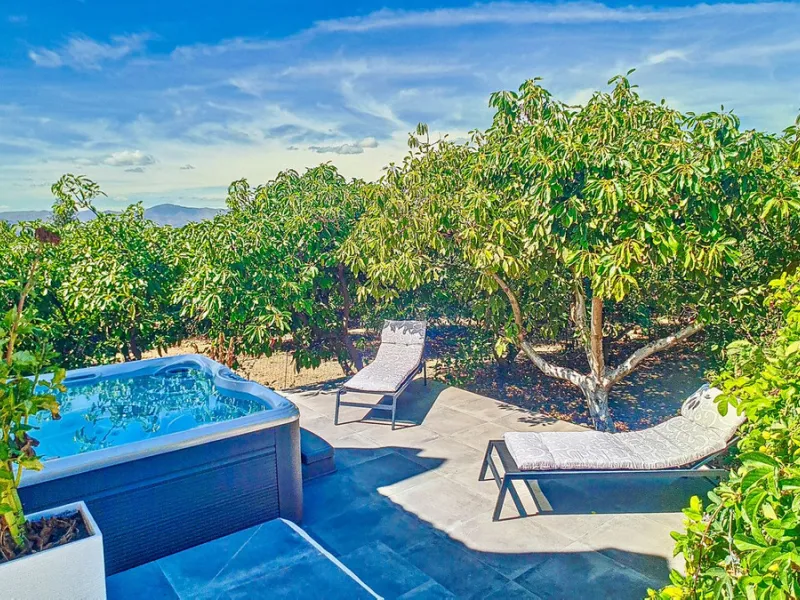 Profitable Mango & Avocado Finca in Vélez-Málaga – High-Yield Investment