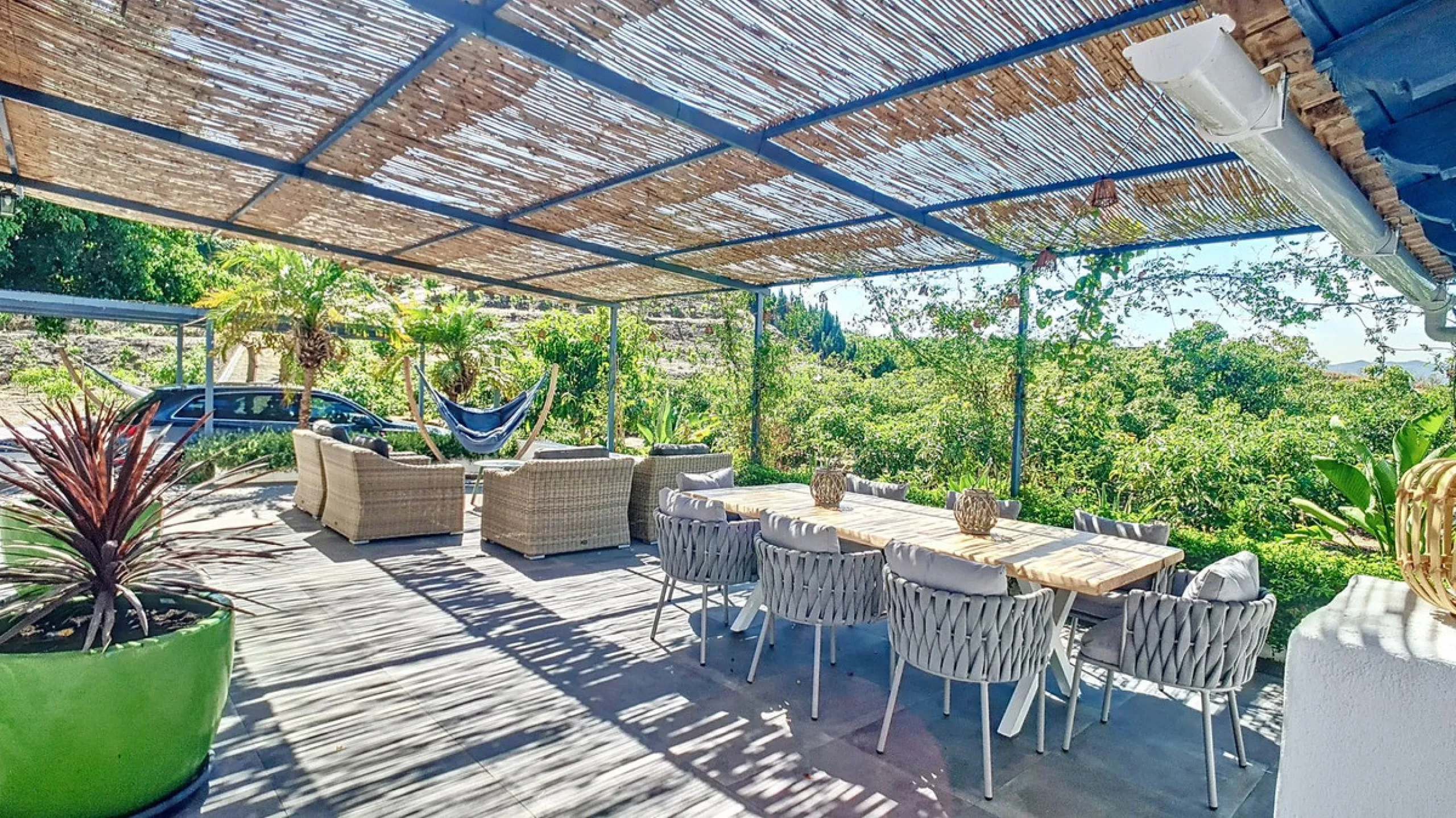 Profitable Mango & Avocado Finca in Vélez-Málaga – High-Yield Investment