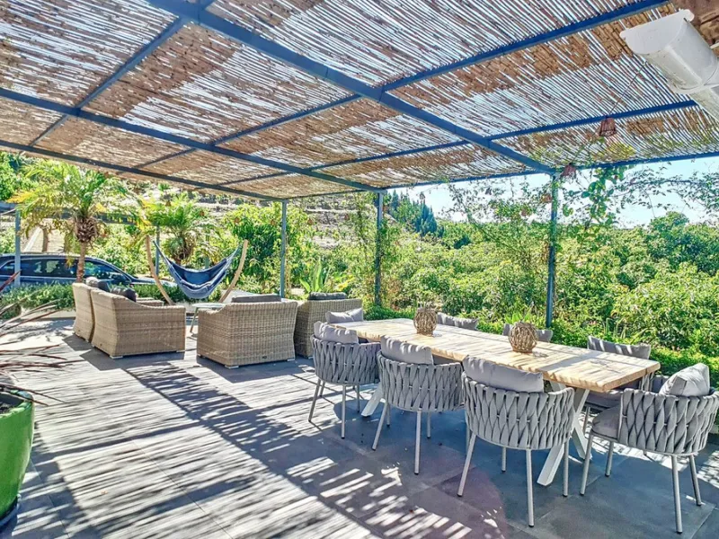 Profitable Mango & Avocado Finca in Vélez-Málaga – High-Yield Investment
