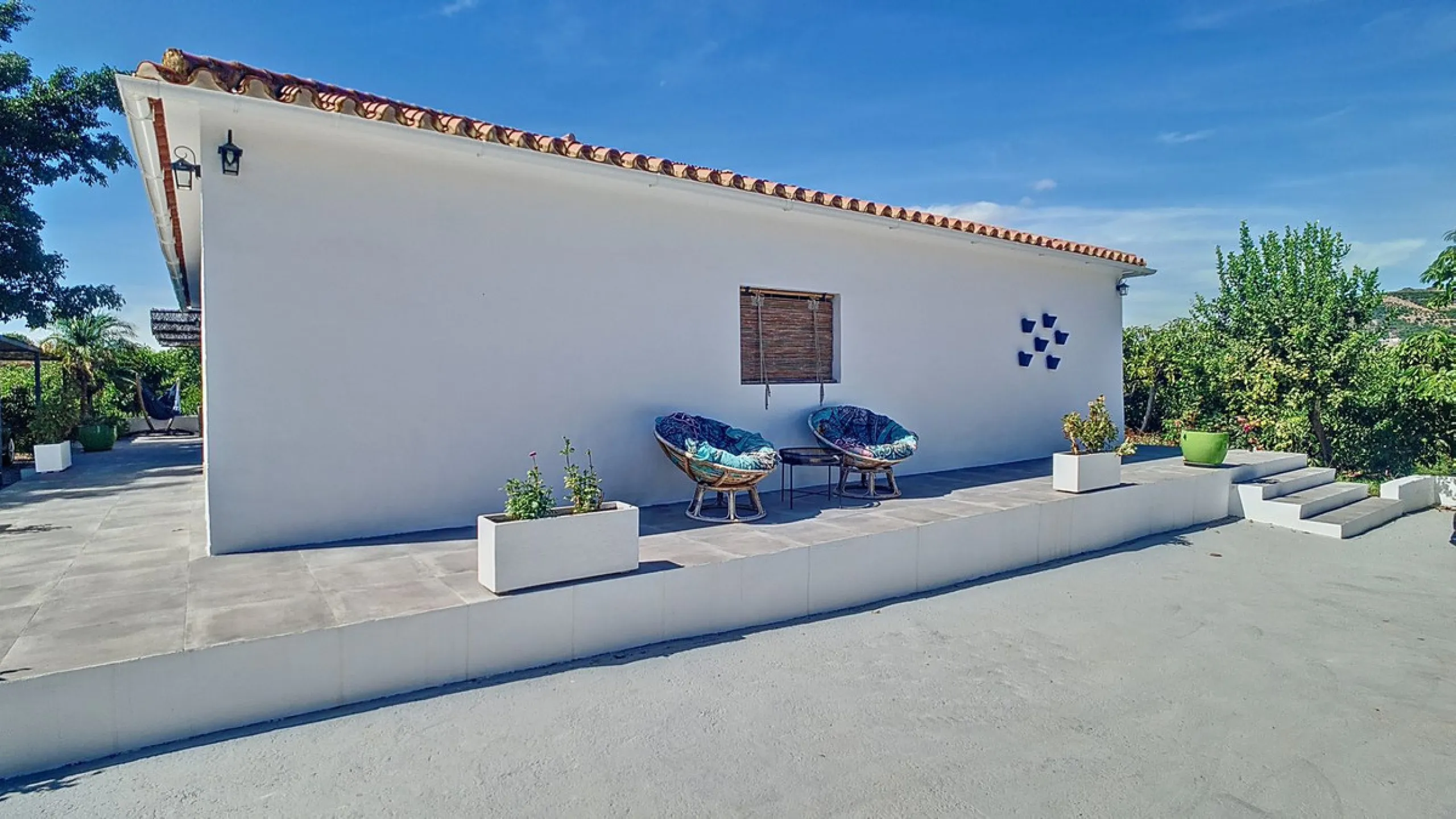 Profitable Mango & Avocado Finca in Vélez-Málaga – High-Yield Investment