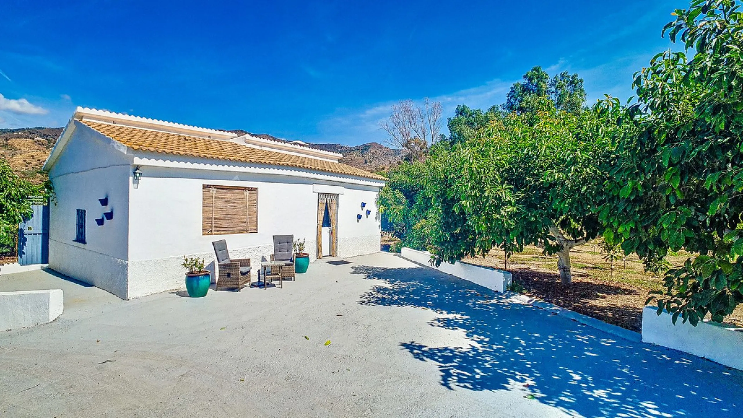 Profitable Mango & Avocado Finca in Vélez-Málaga – High-Yield Investment