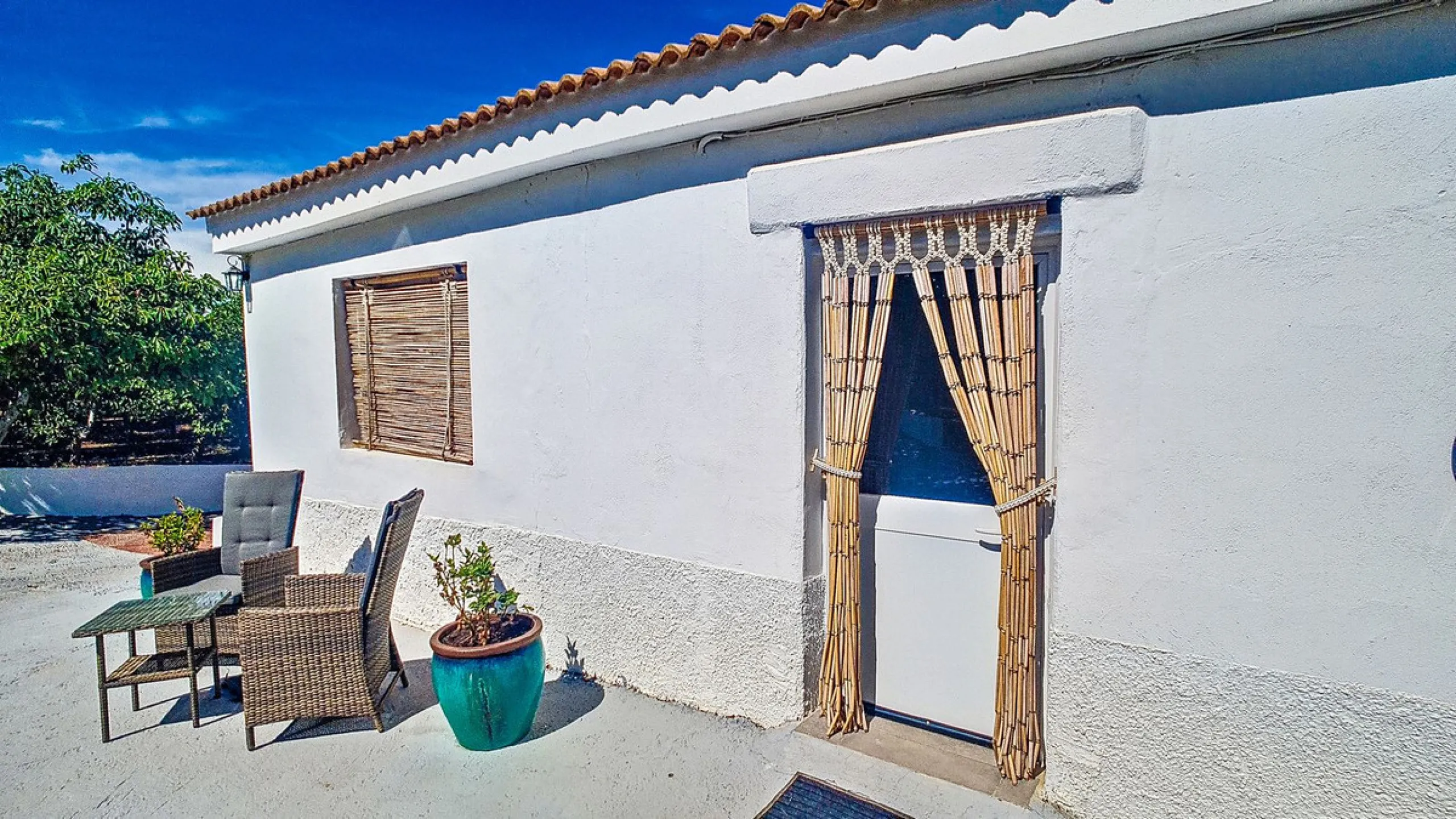 Profitable Mango & Avocado Finca in Vélez-Málaga – High-Yield Investment