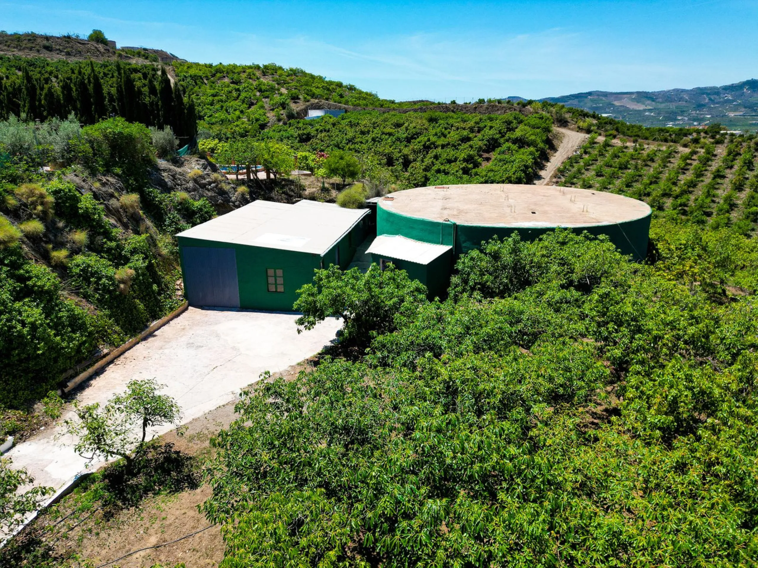 Profitable Mango & Avocado Finca in Vélez-Málaga – High-Yield Investment