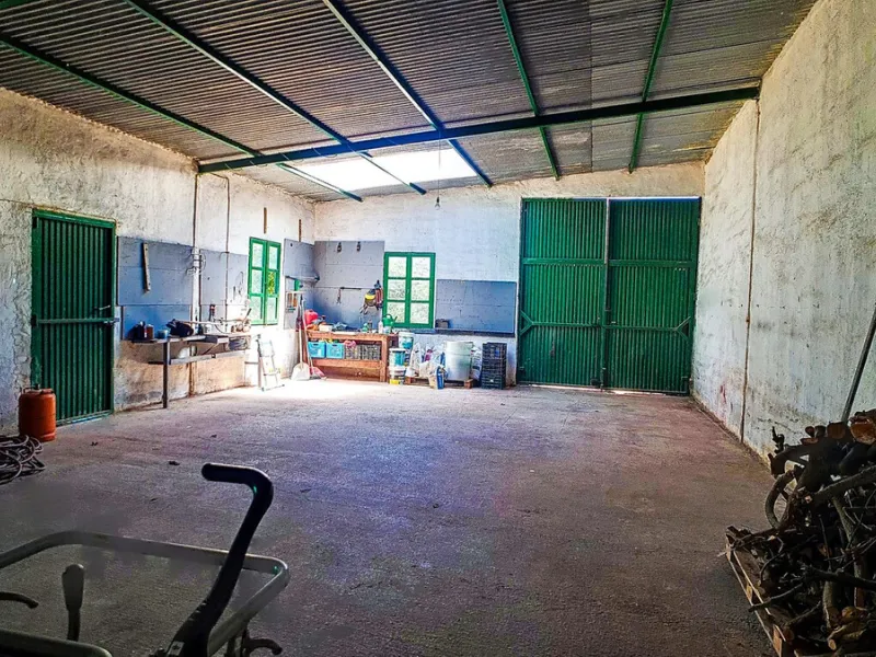 Profitable Mango & Avocado Finca in Vélez-Málaga – High-Yield Investment