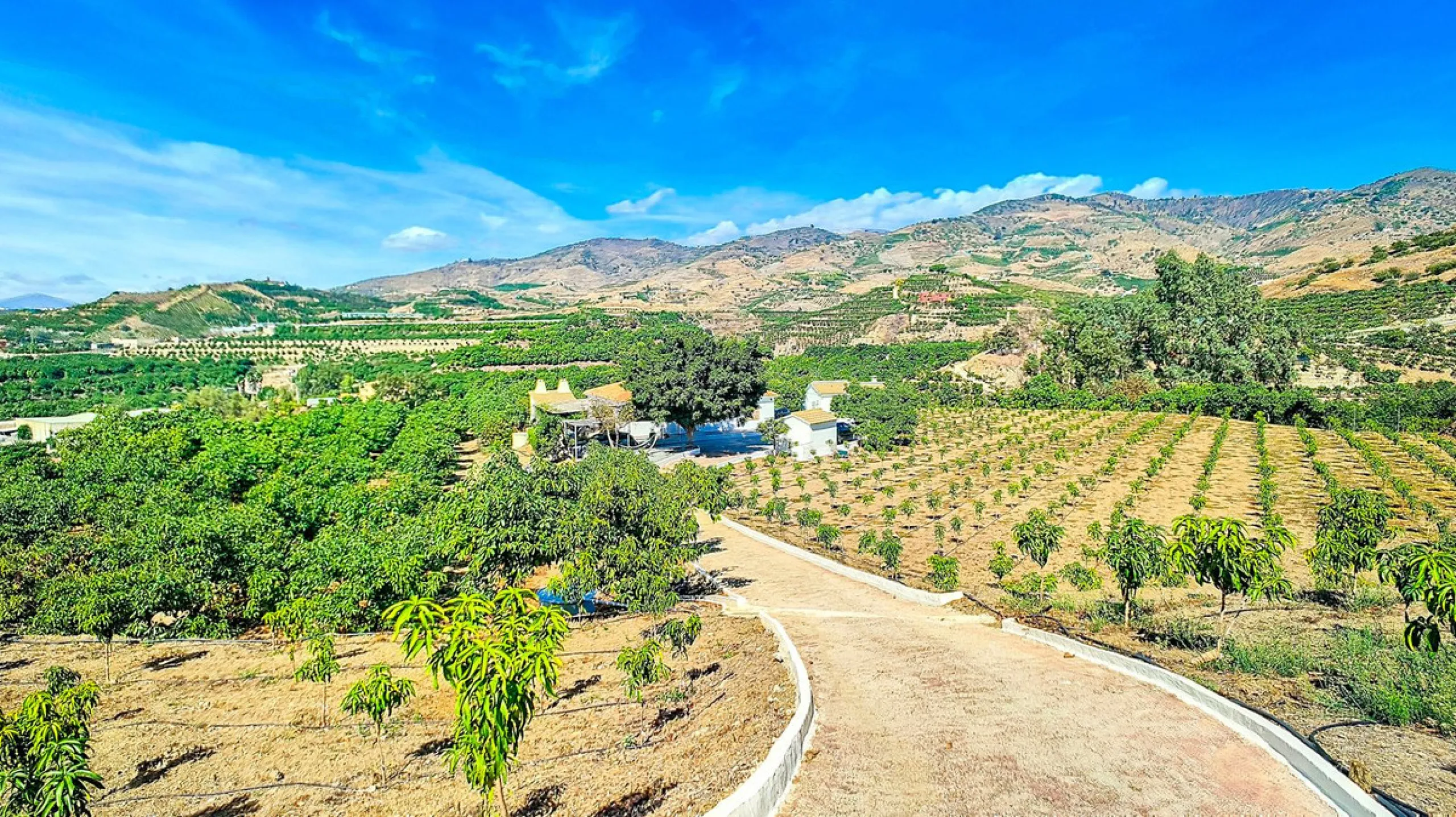 Profitable Mango & Avocado Finca in Vélez-Málaga – High-Yield Investment