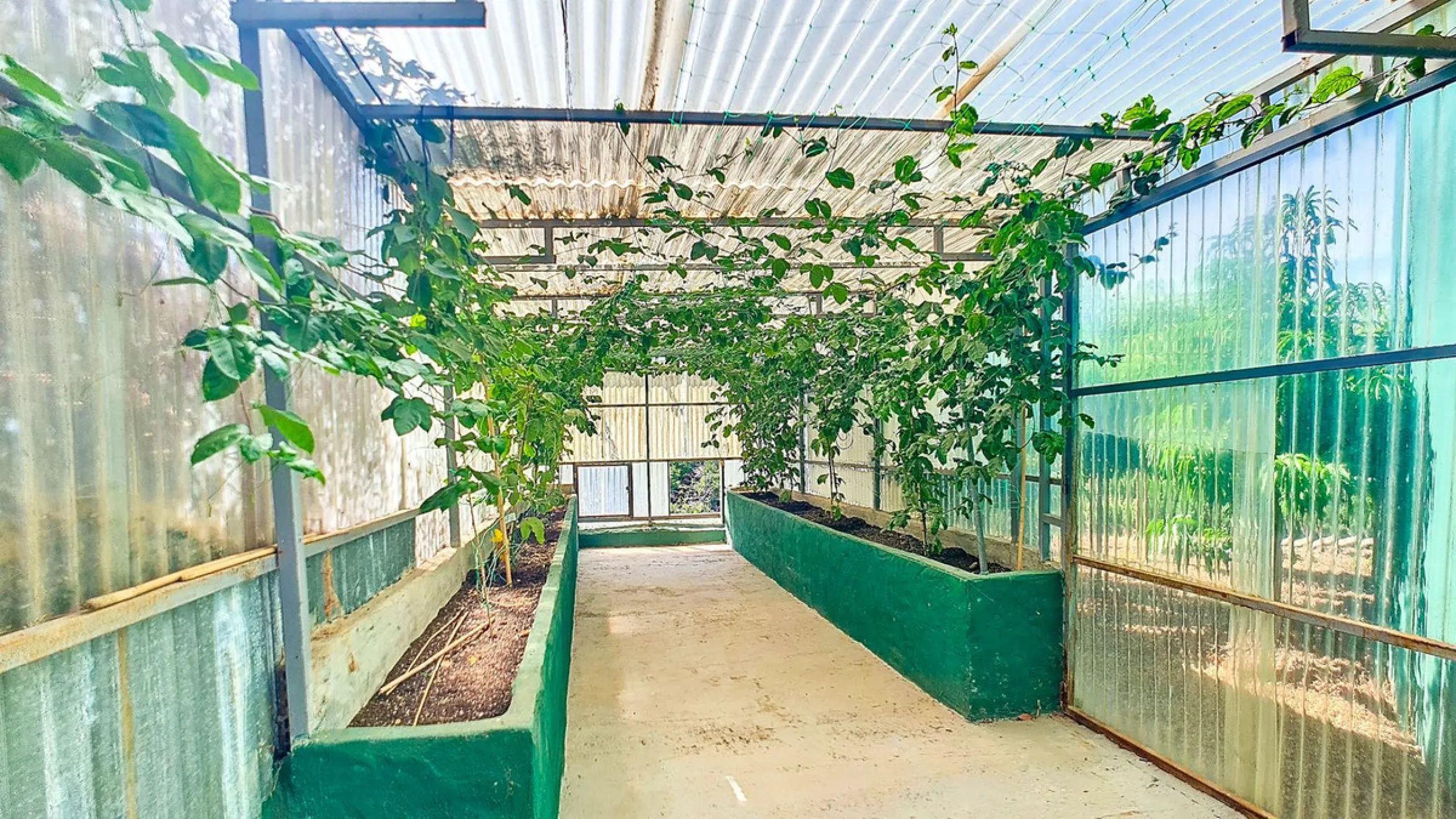 Profitable Mango & Avocado Finca in Vélez-Málaga – High-Yield Investment