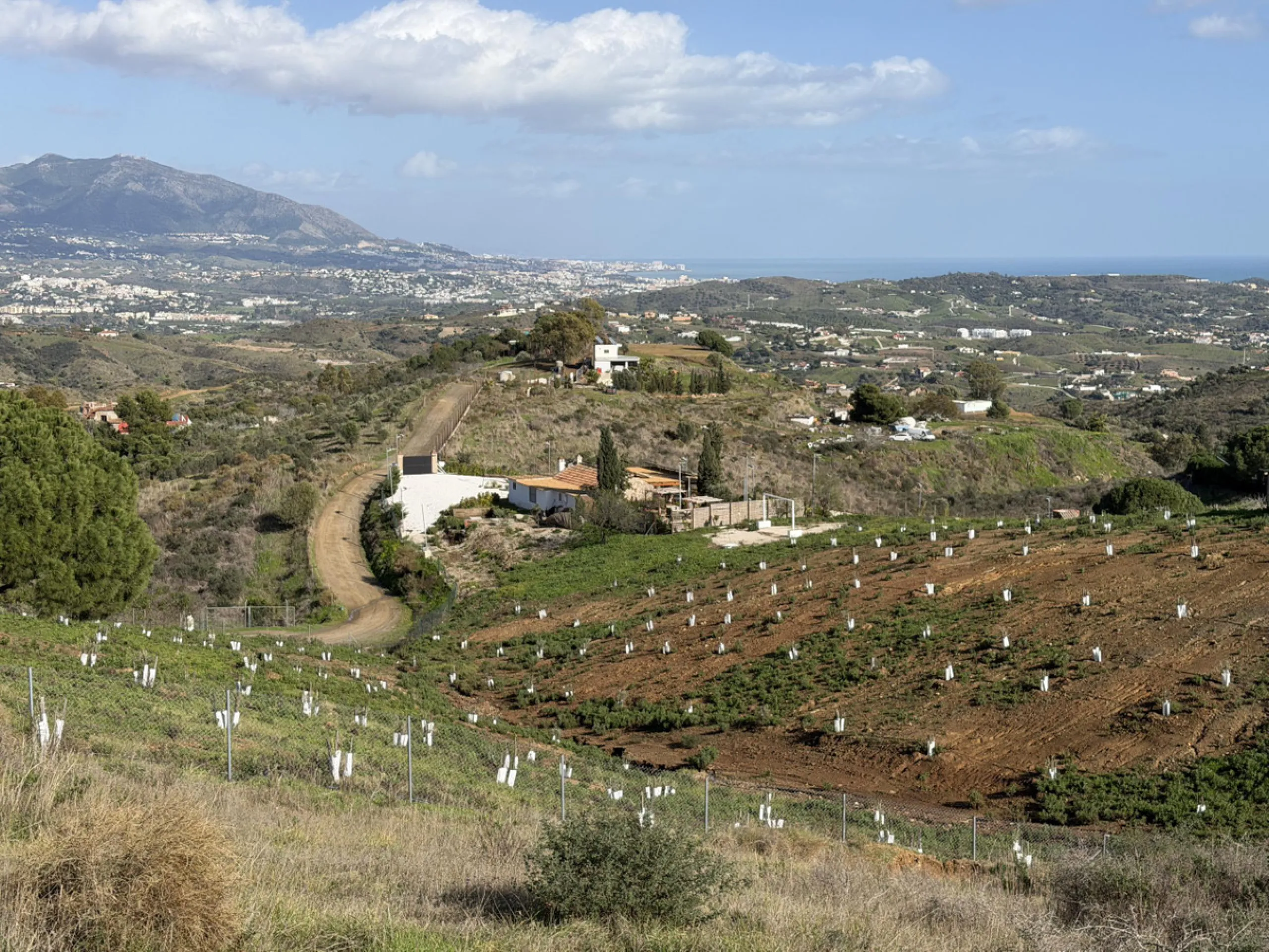 Country Estate in Mijas Costa: 14,000 m2 with newly planted olive trees, Sustainable Housing and Great Potential for Events
