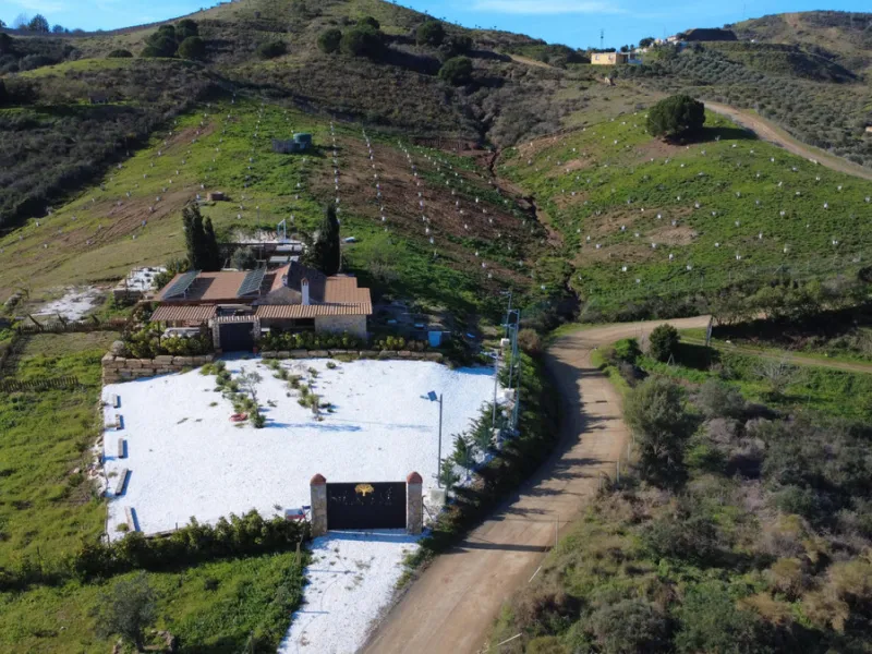 Country Estate in Mijas Costa: 14,000 m2 with newly planted olive trees, Sustainable Housing and Great Potential for Events