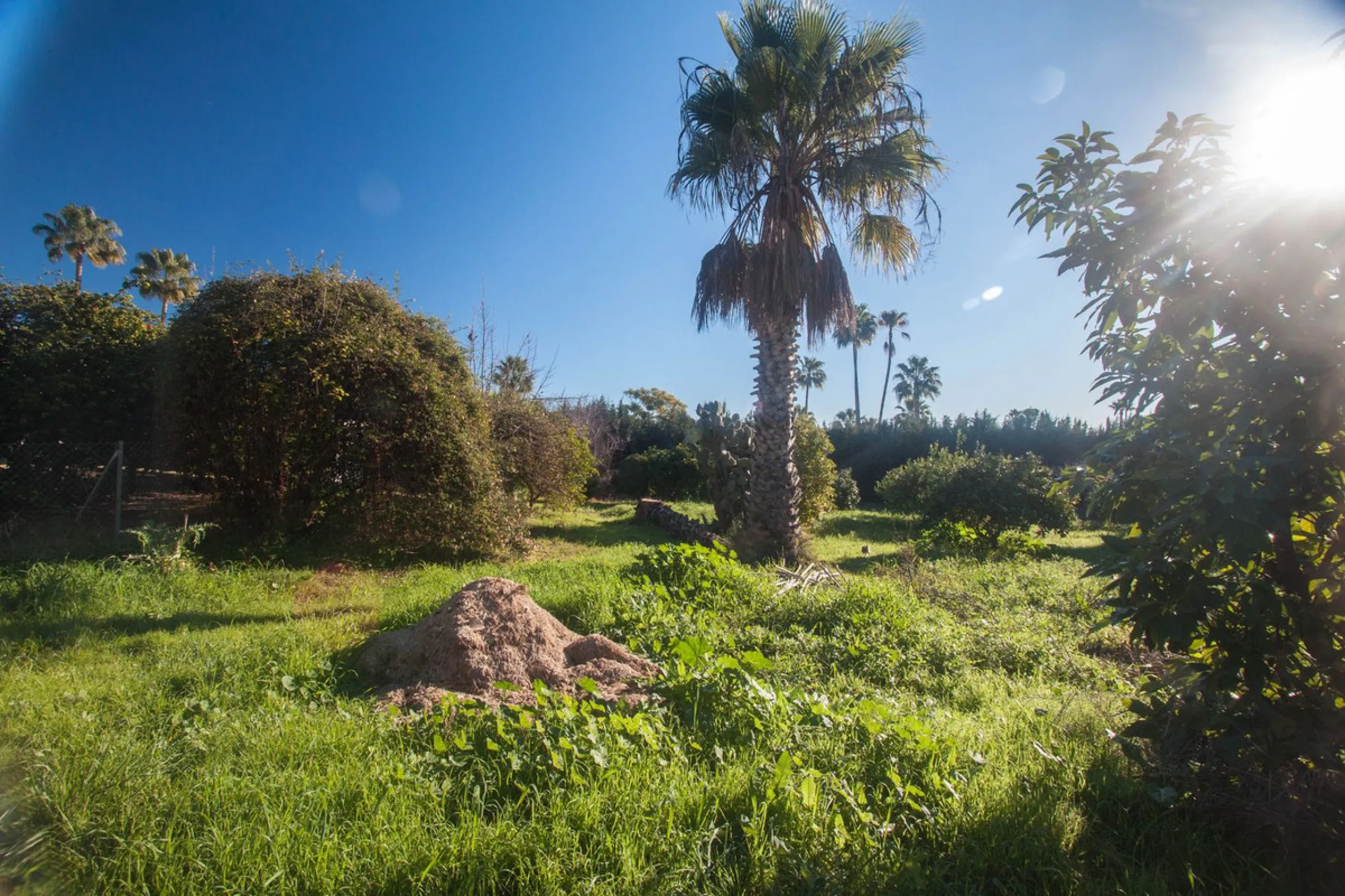 Charming Country Property with Mountain Views in Estepona – La Alberdina Area