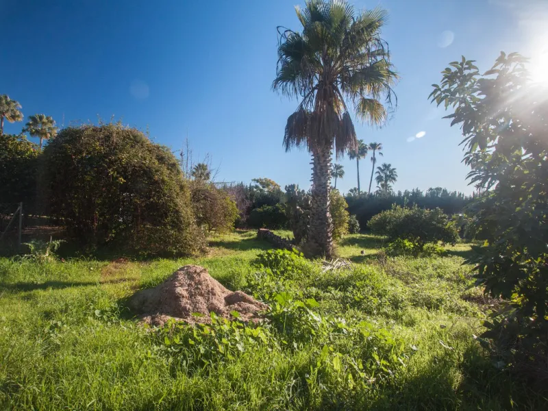 Charming Country Property with Mountain Views in Estepona – La Alberdina Area