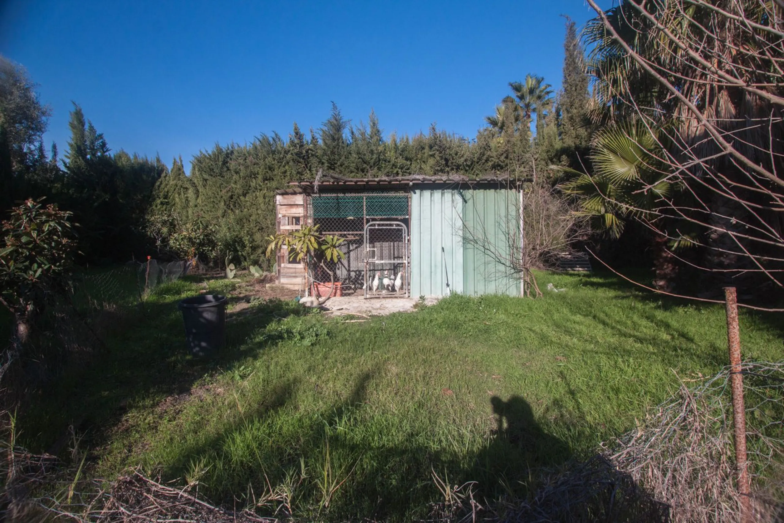 Charming Country Property with Mountain Views in Estepona – La Alberdina Area