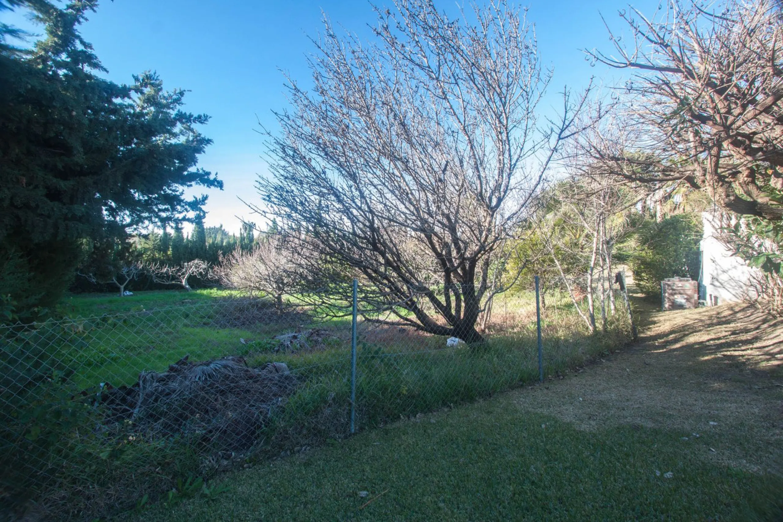 Charming Country Property with Mountain Views in Estepona – La Alberdina Area