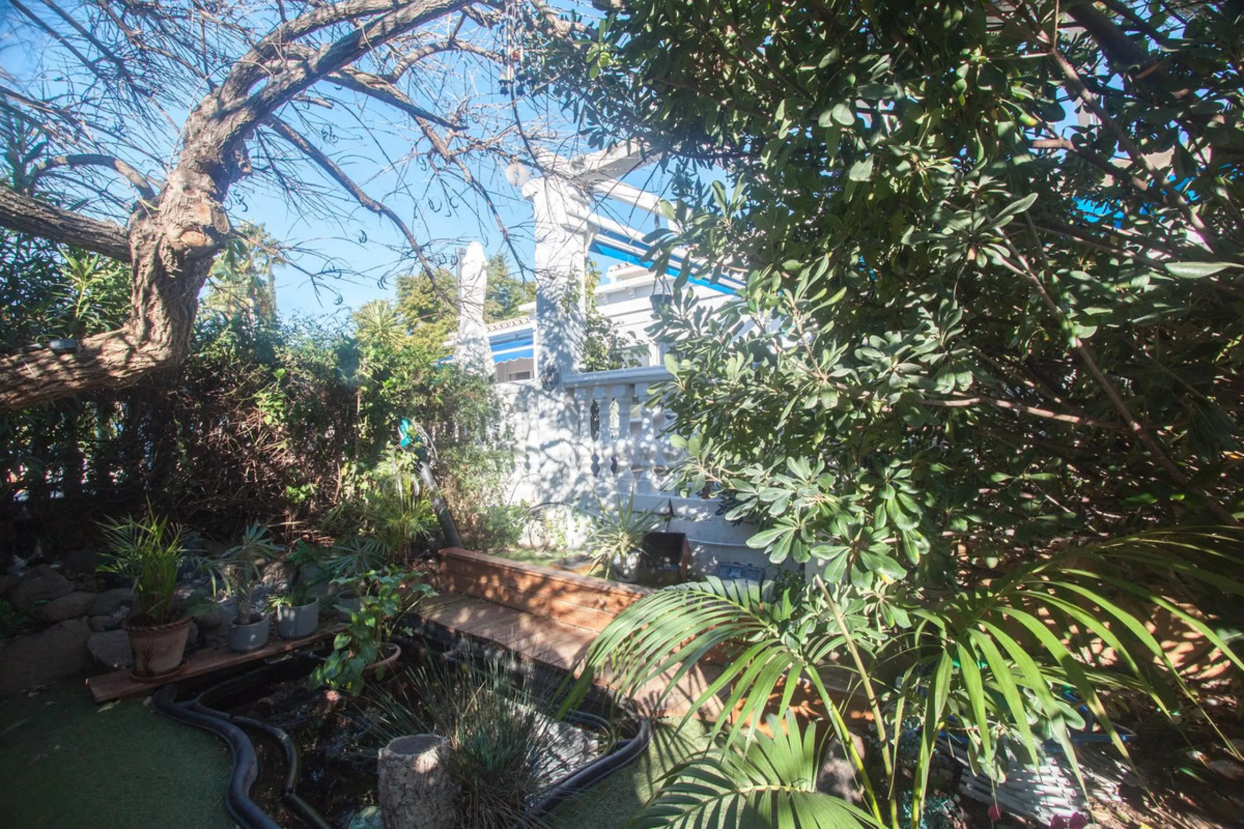 Charming Country Property with Mountain Views in Estepona – La Alberdina Area