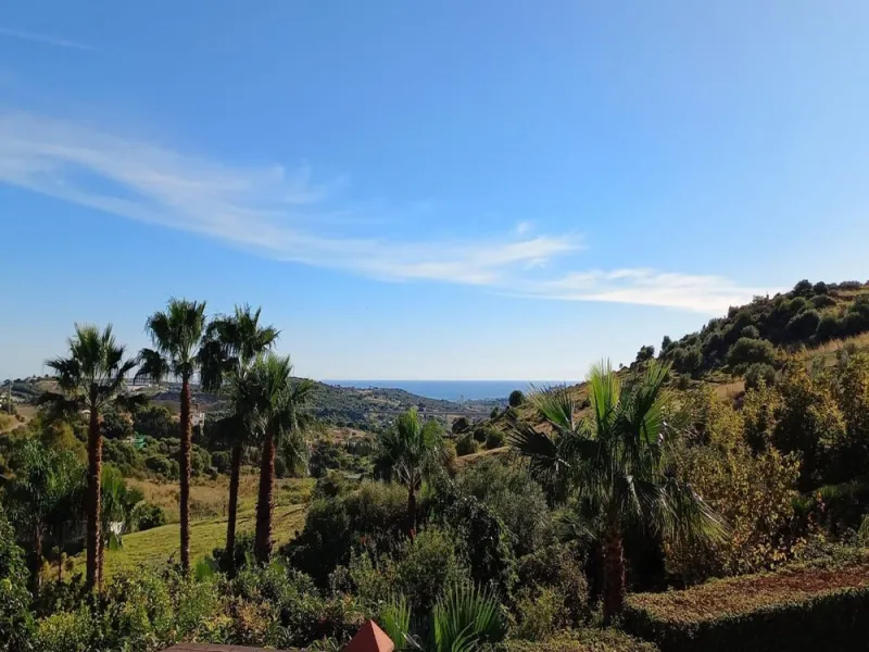 Just 5 minutes from Estepona we find this fantastic property.