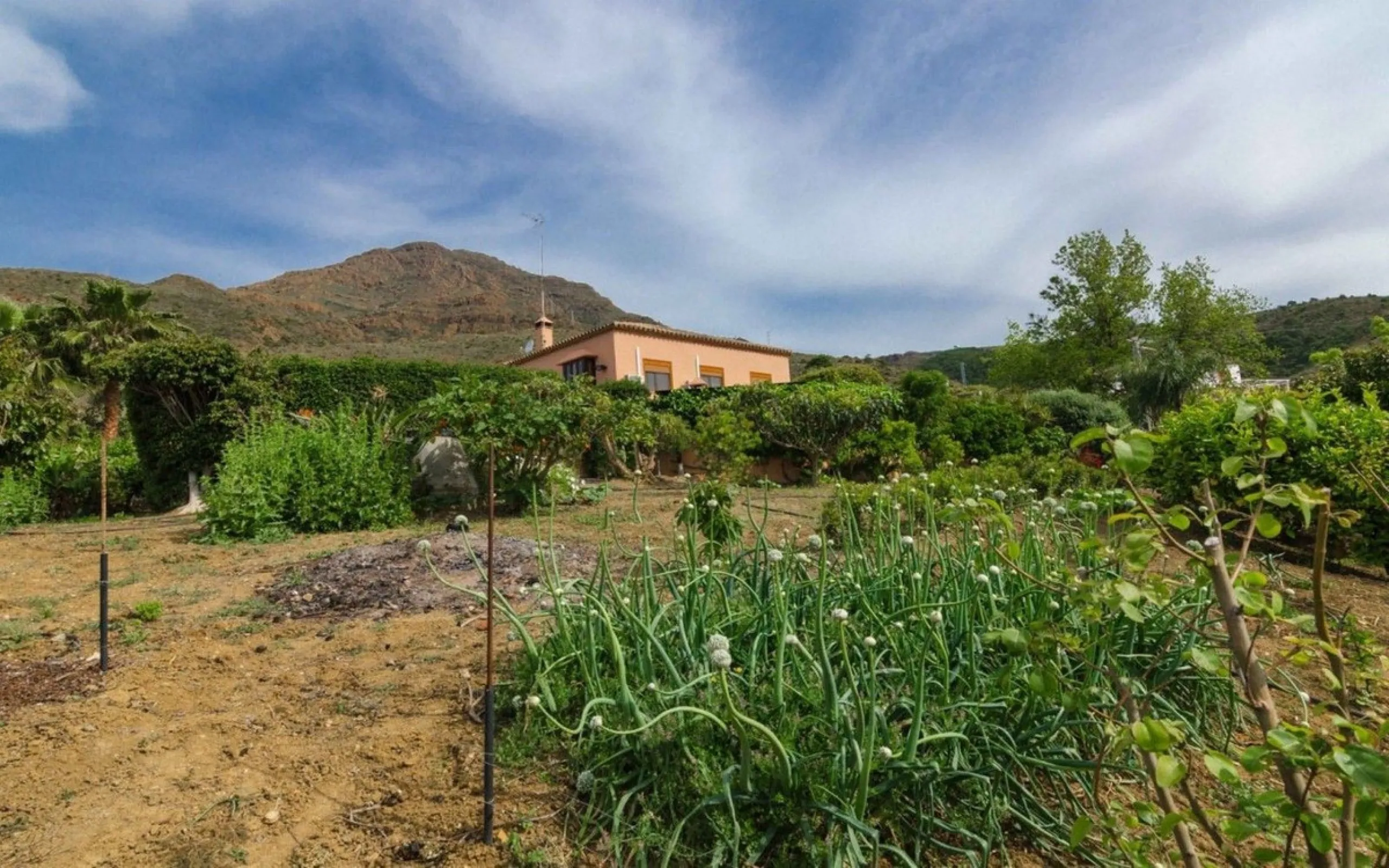 Just 5 minutes from Estepona we find this fantastic property.