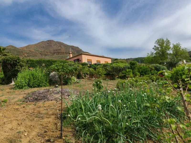 Just 5 minutes from Estepona we find this fantastic property.