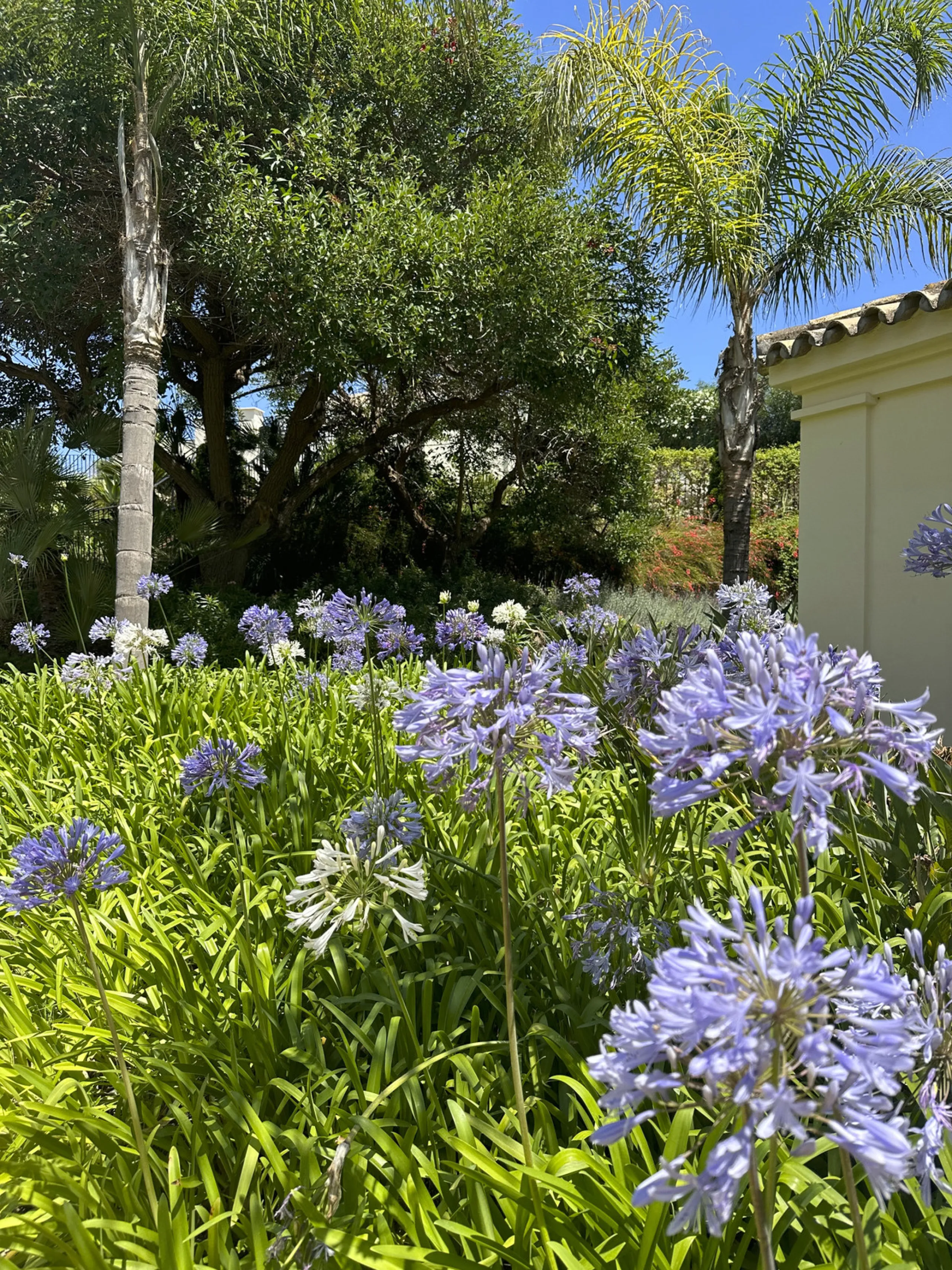 This luxurious apartment is located in the prestigious Majestic Gardens development in Casares, Málaga. Situated in a privileged area just 750 meters from the beach and facing southeast, it stands out as the best apartment in the complex. Its location is 