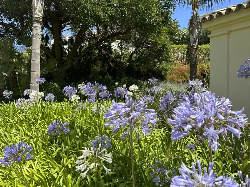 This luxurious apartment is located in the prestigious Majestic Gardens development in Casares, Málaga. Situated in a privileged area just 750 meters from the beach and facing southeast, it stands out as the best apartment in the complex. Its location is 