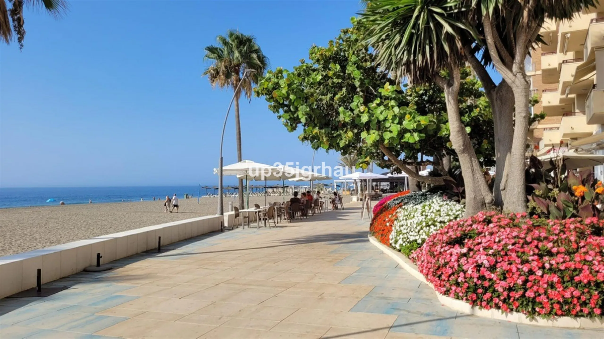 Studio in the center of Estepona, 50 meters from the beach, in a quiet alley on the first floor.