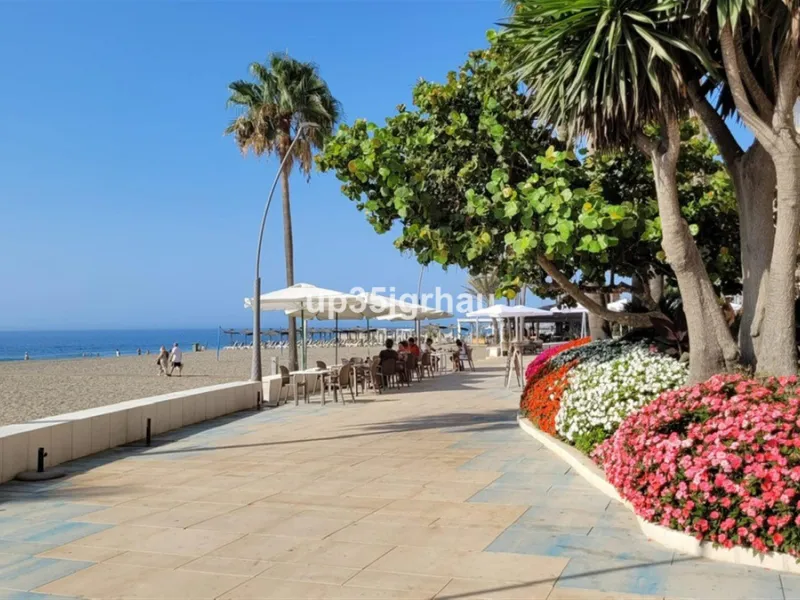 Studio in the center of Estepona, 50 meters from the beach, in a quiet alley on the first floor.