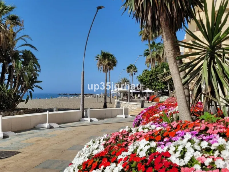 Studio in the center of Estepona, 50 meters from the beach, in a quiet alley on the first floor.