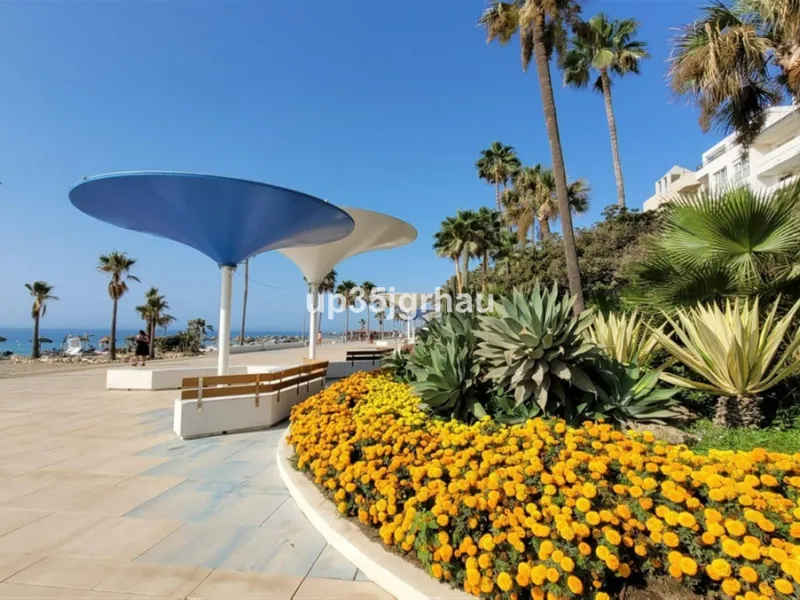 Studio in the center of Estepona, 50 meters from the beach, in a quiet alley on the first floor.