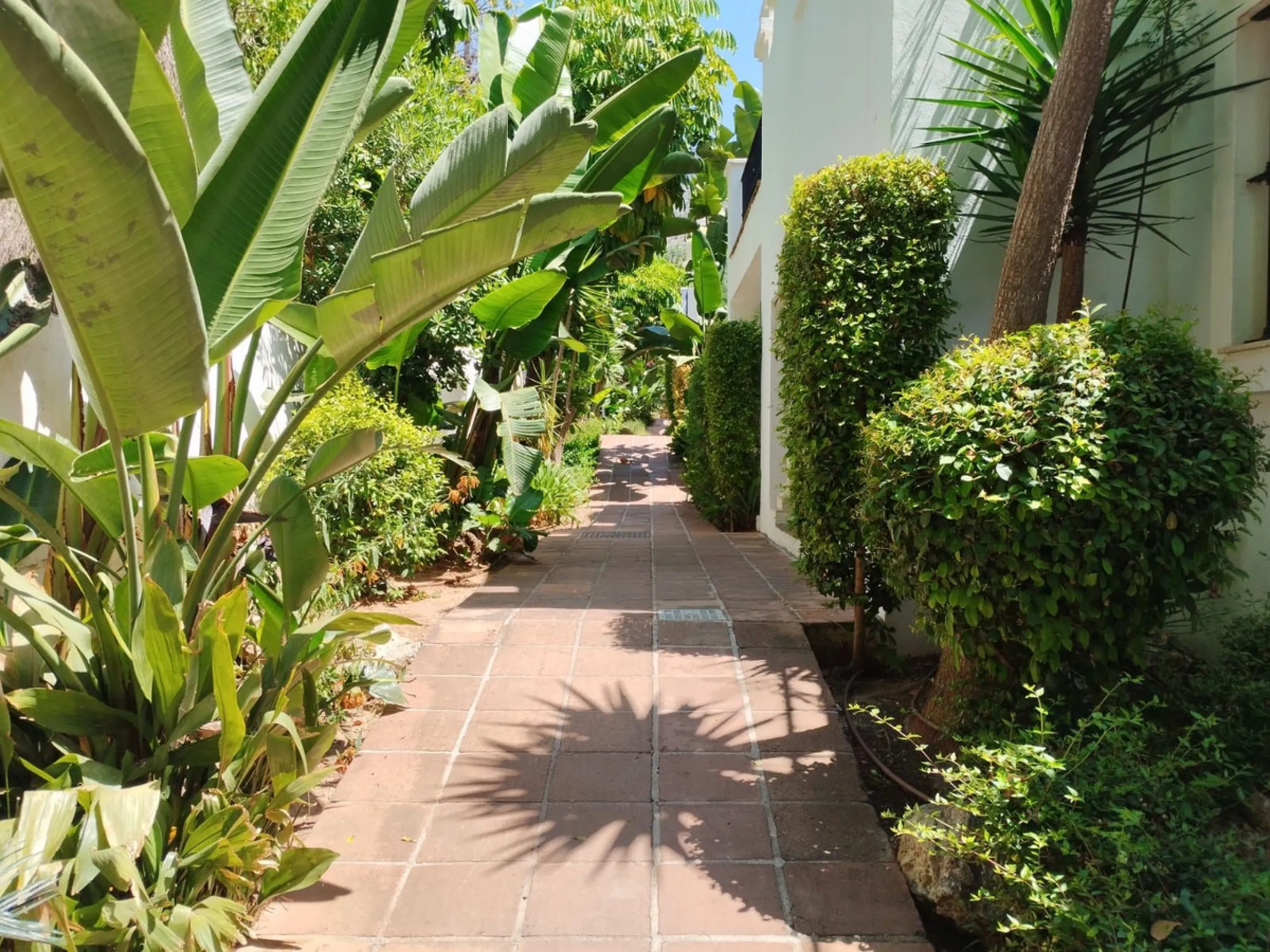 Living in Montebello Hills: serenity, distinction, and the soul of Marbella.