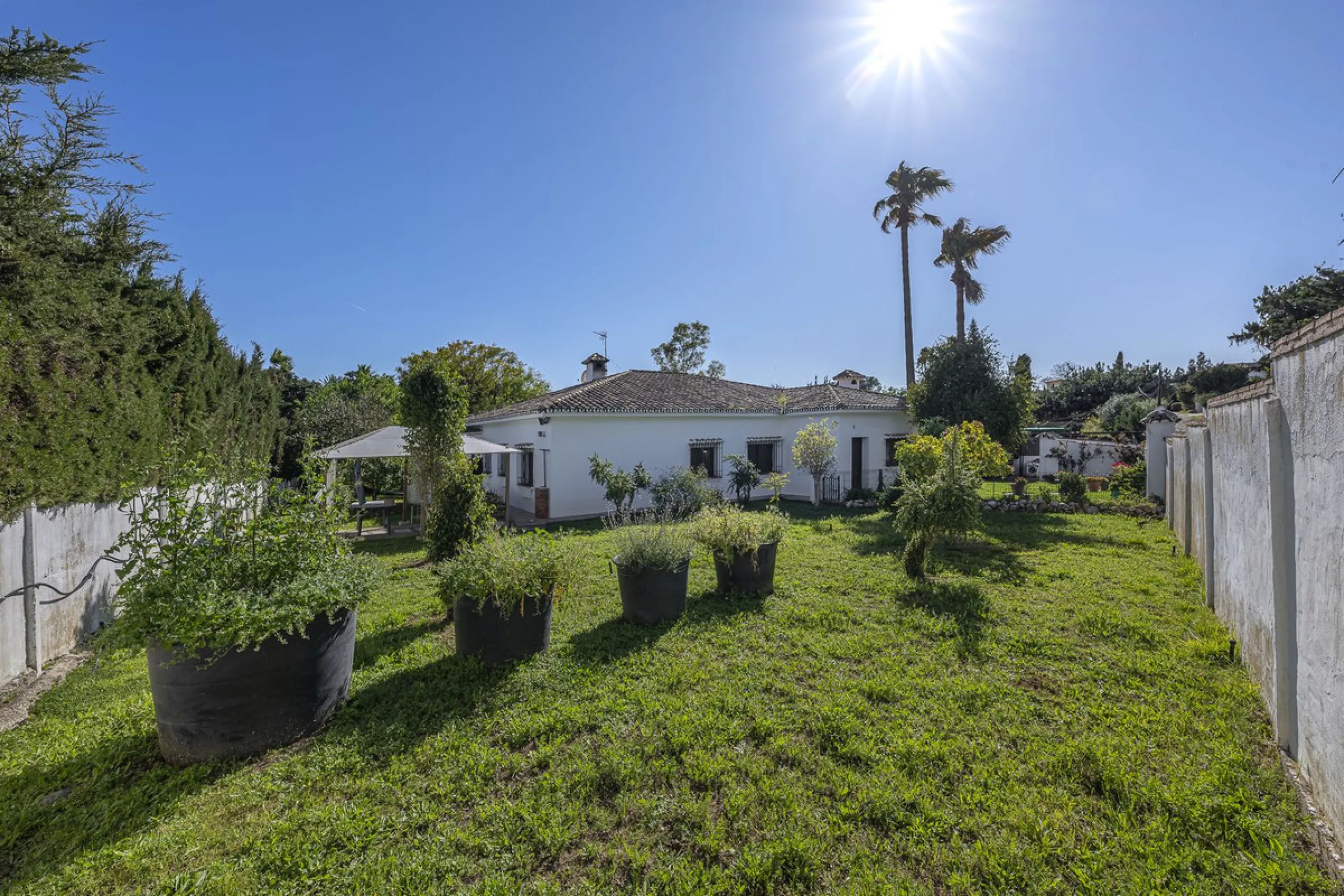 Rural plot with detached villa for sale in Guadalmina Alta A unique opportunity to purchase a spacious 3,000 m² rural plot with a detached single-storey house, situated in the prestigious area of Guadalmina Alta, a peaceful setting surrounded by nature, j