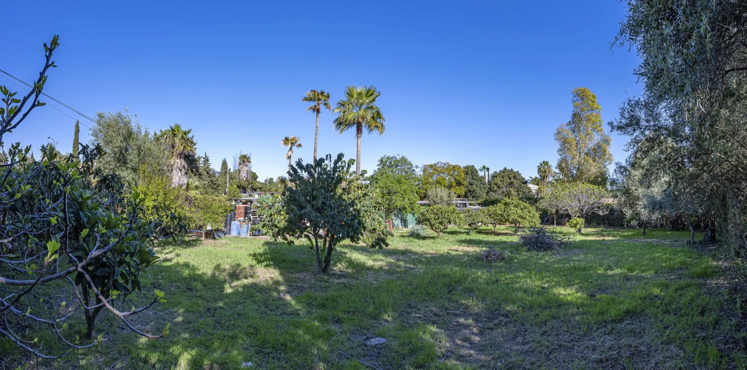 Rural plot with detached villa for sale in Guadalmina Alta A unique opportunity to purchase a spacious 3,000 m² rural plot with a detached single-storey house, situated in the prestigious area of Guadalmina Alta, a peaceful setting surrounded by nature, j