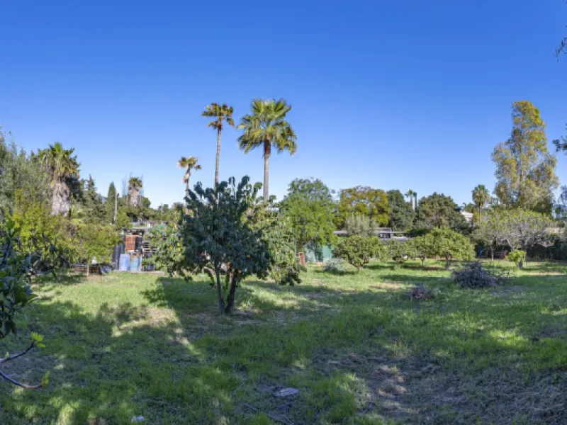 Rural plot with detached villa for sale in Guadalmina Alta A unique opportunity to purchase a spacious 3,000 m² rural plot with a detached single-storey house, situated in the prestigious area of Guadalmina Alta, a peaceful setting surrounded by nature, j