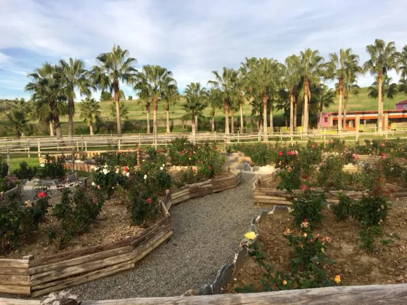 Finca - Cortijo, Coín, Costa del Sol.