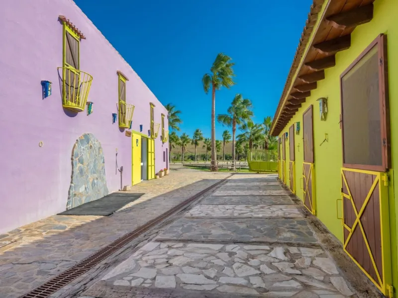 Finca - Cortijo, Coín, Costa del Sol.
