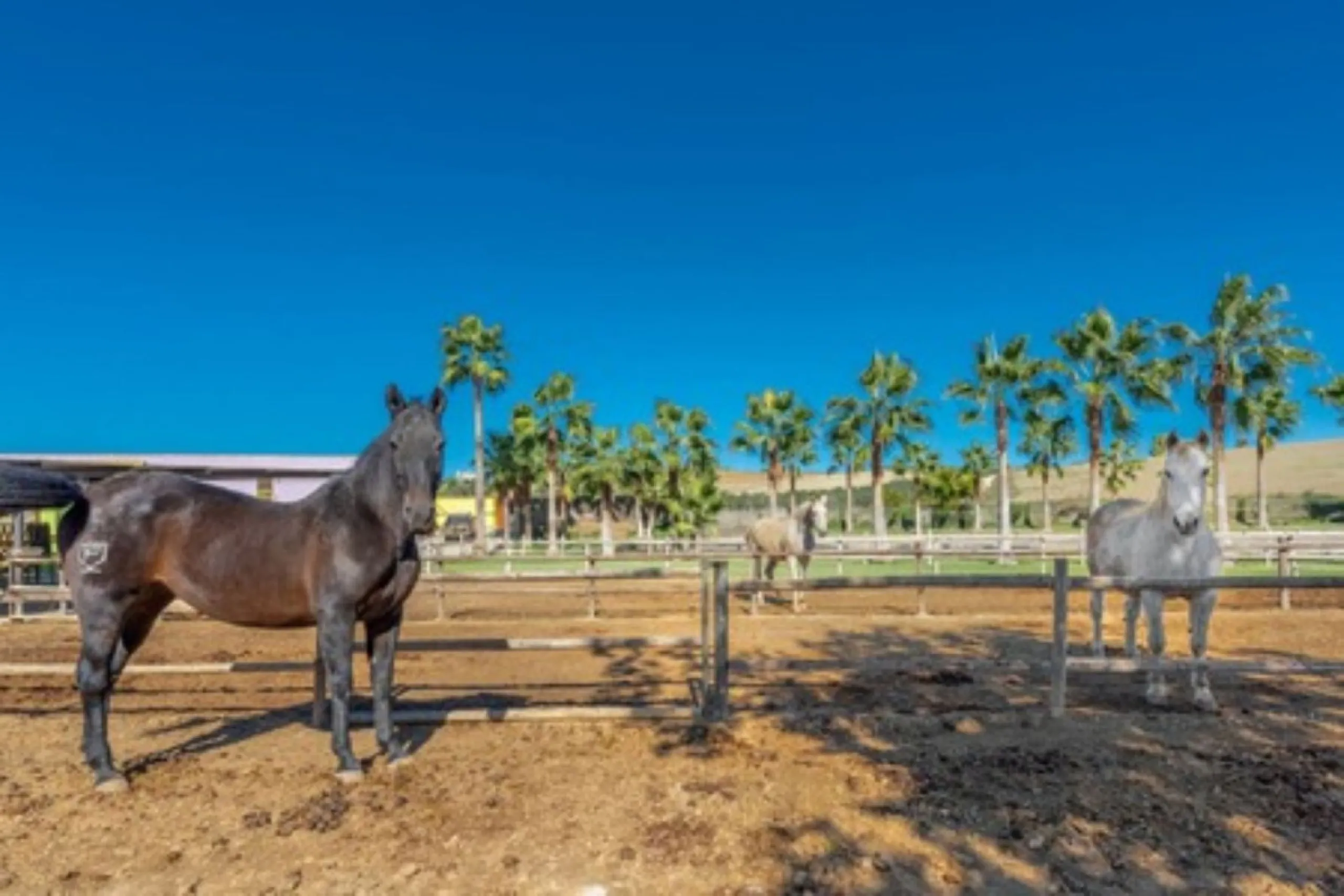 Finca - Cortijo, Coín, Costa del Sol.