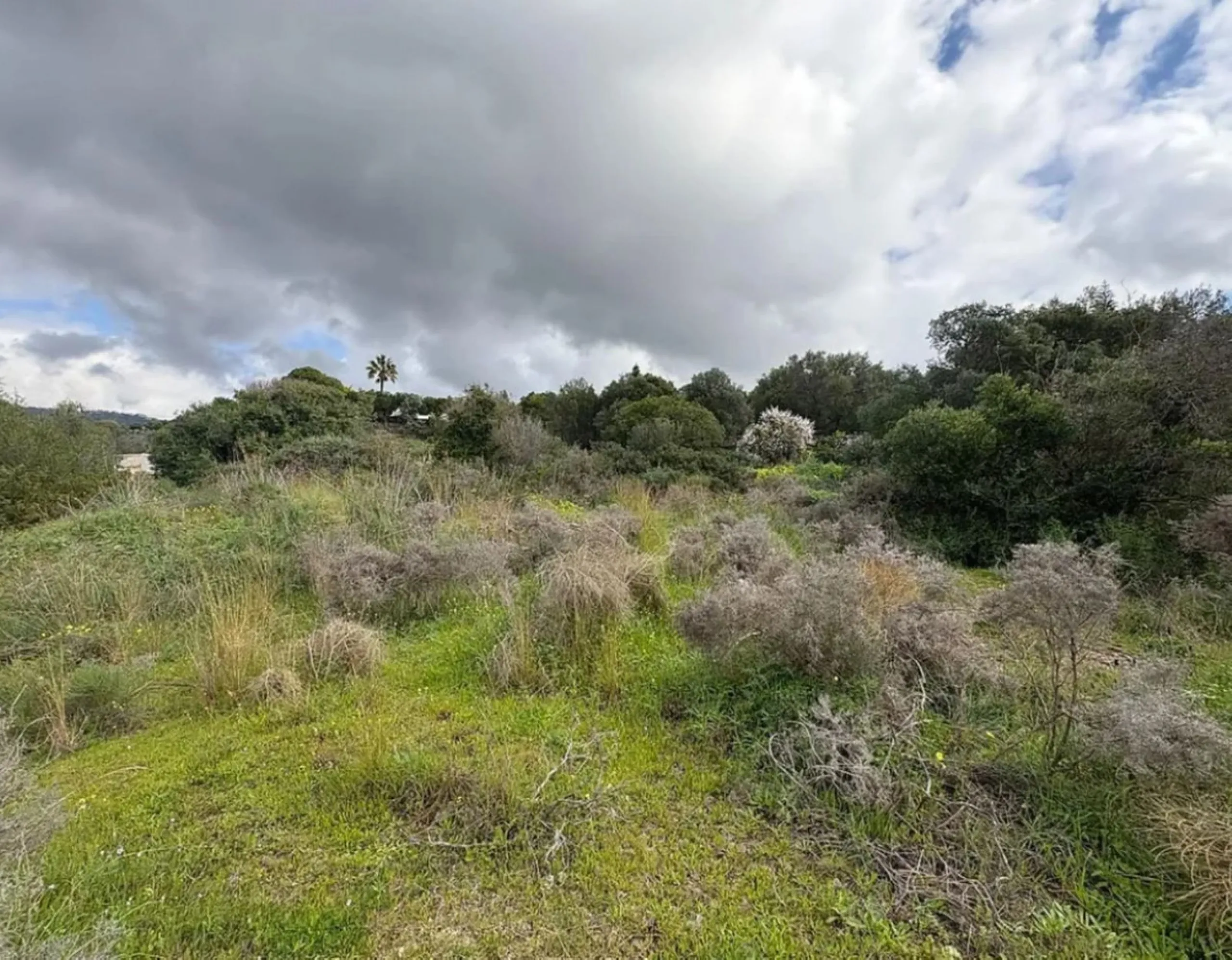 Land with development project and approved building permit for an aparthotel in Calahonda,Mijas.