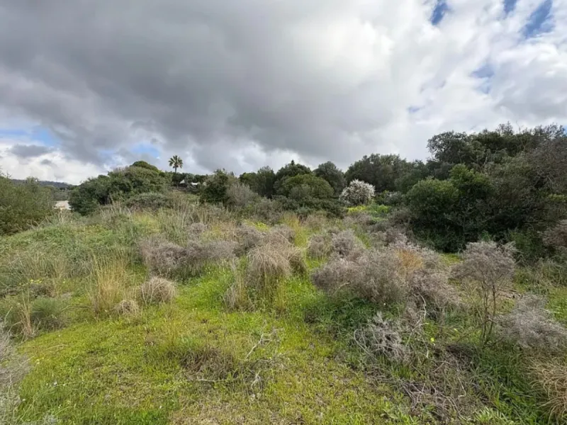 Land with development project and approved building permit for an aparthotel in Calahonda,Mijas.