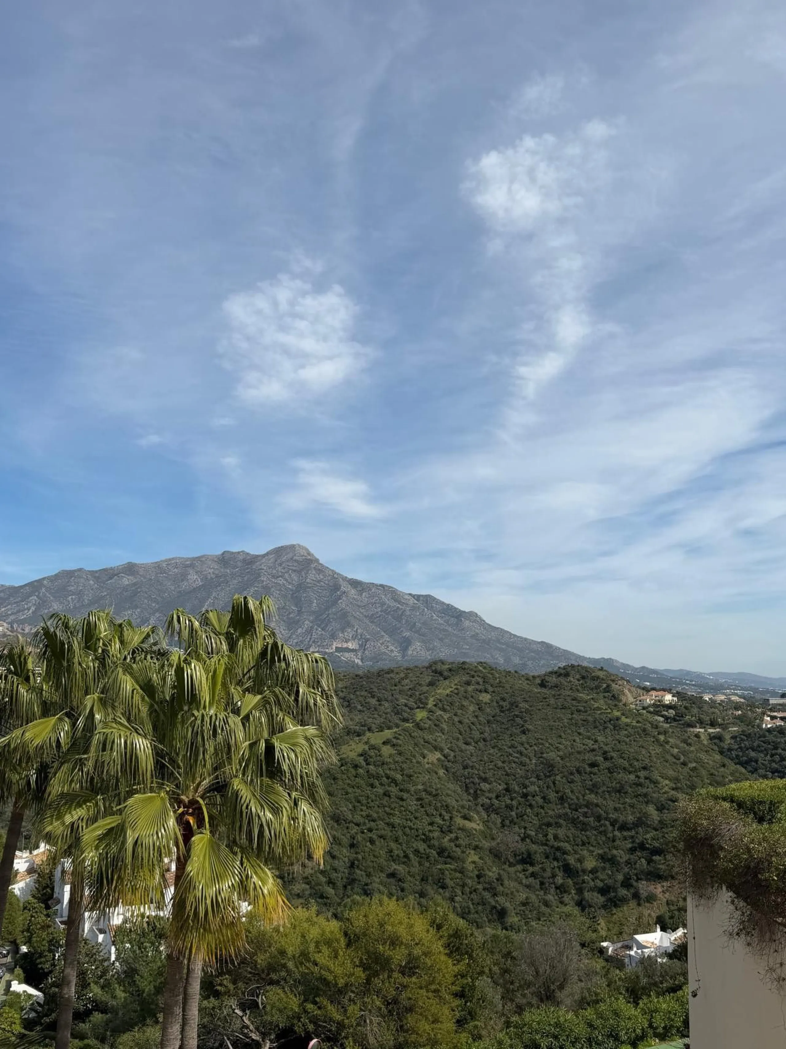 EXCLUSIVE LISTING