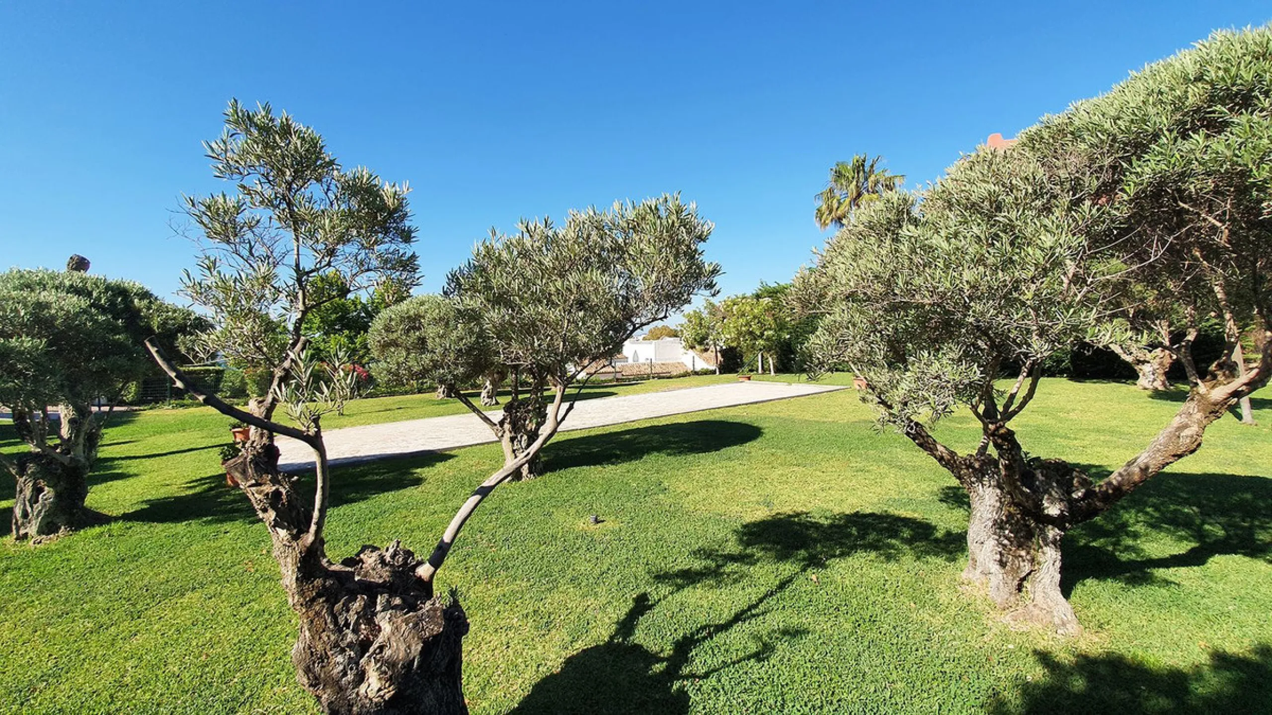 Spacious apartment with sea views for sale on the Costa del Sol in a charming residence in Benalmádena. This property boasts generous living spaces and a beautiful terrace with exceptional sea views. The residence is peaceful and well-maintained, just thr